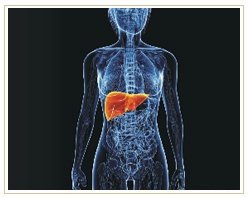 Slider image (7) ADIVA | Stem Cell Therapy Center